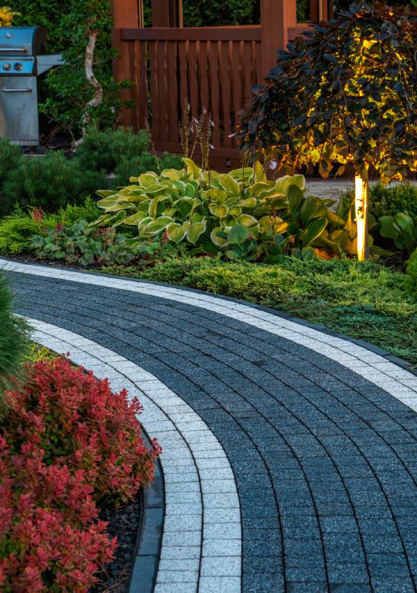 Curved garden path with ornamental plants at dusk.