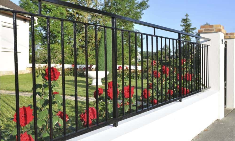 Black iron fence with red roses and white wall.