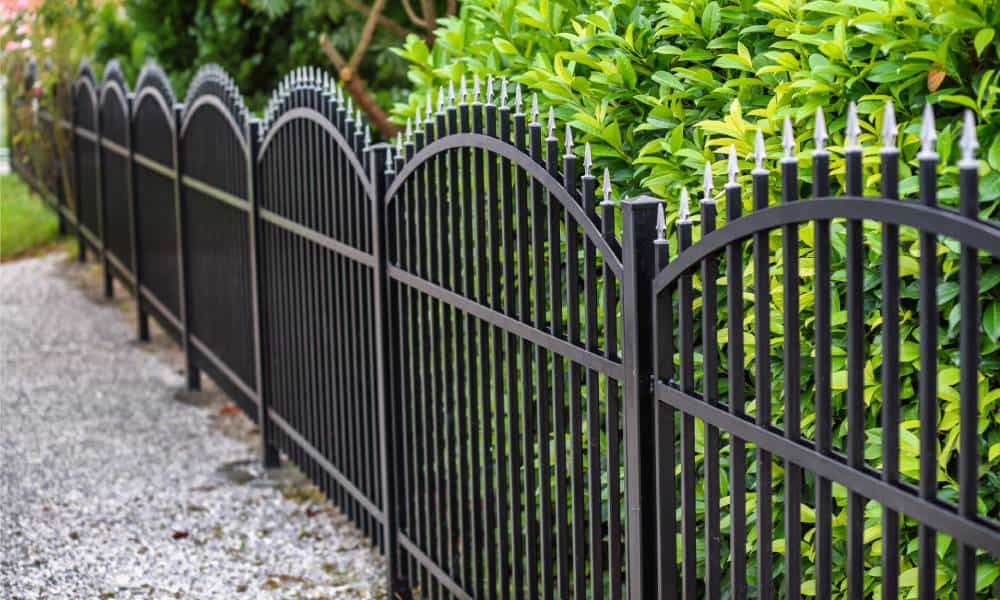 Black metal fence with green bush hedge.