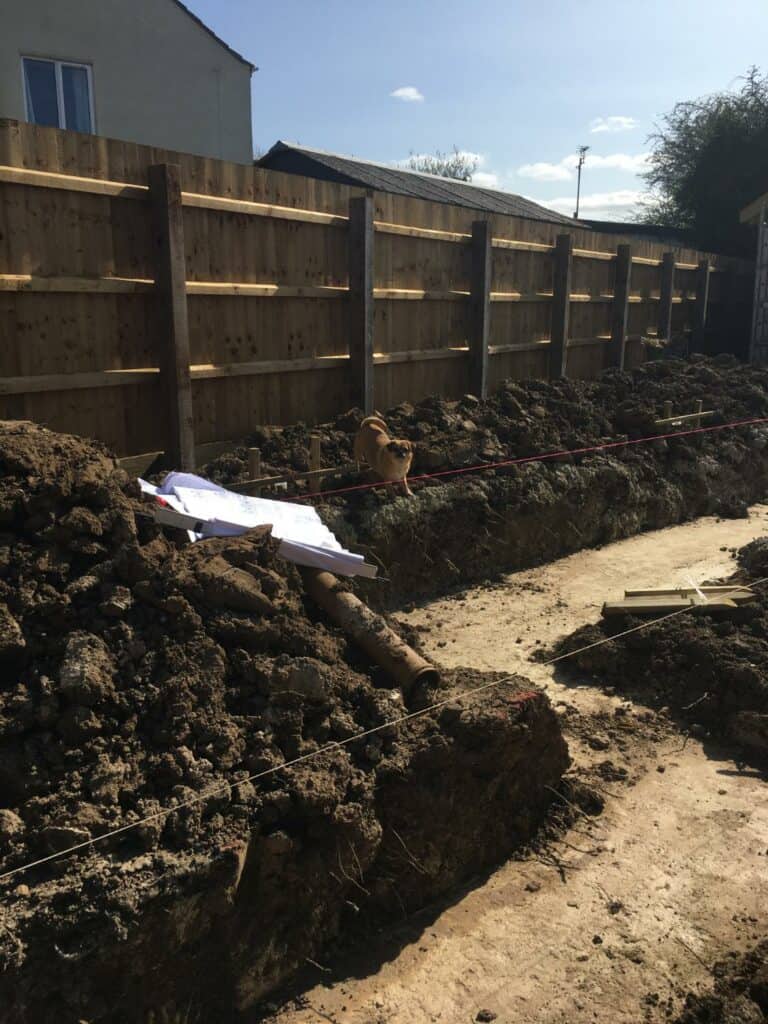 Dog near construction site with wooden fence and plans.