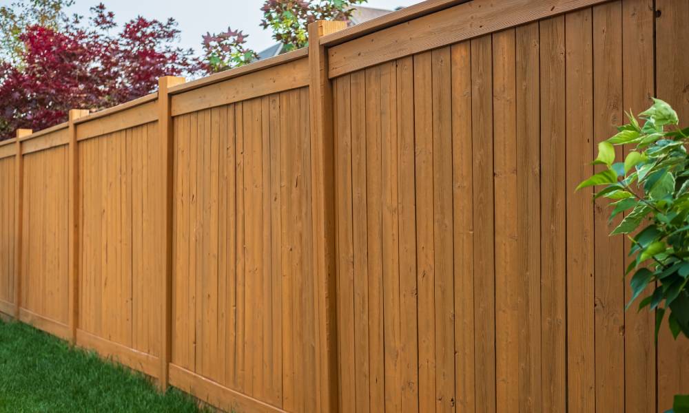 Wooden garden fence with greenery.